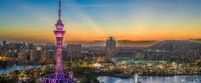 乐鱼体育官网平台登录-乐鱼体育，构建全新数字化体育竞技世界