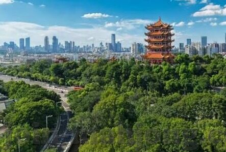 足球比分模拟-足球比分模拟，解锁绿茵场上的预言家技能